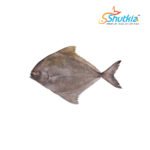 Kalo Chanda Fish (কালো চান্দা মাছ) (1KG)