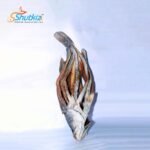 Koral Shutki - কোরাল শুটকি