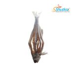 Lakkha Shutki (Boneless) - লাক্ষা শুটকি