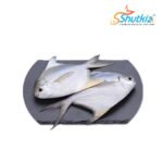 Silver Pomfret Fish (রূপচাঁদা মাছ)